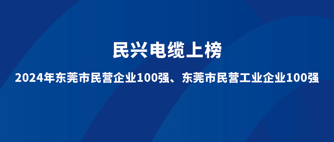 民興位列第15位！2024年?yáng)|莞市民營(yíng)工業(yè)企業(yè)100強(qiáng)榜單發(fā)布